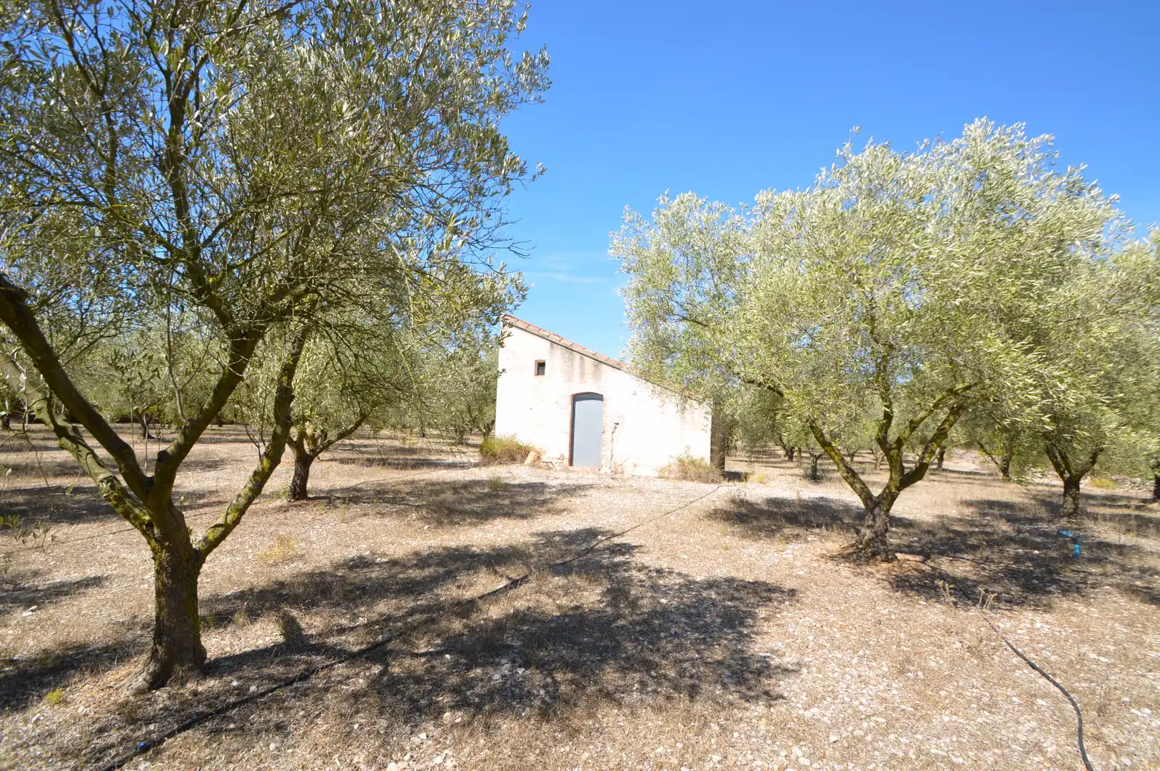 Rural land for sale in Ulldecona, imagen 22