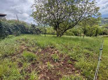 Rural land for sale in Careses - Aldea Ordiales
