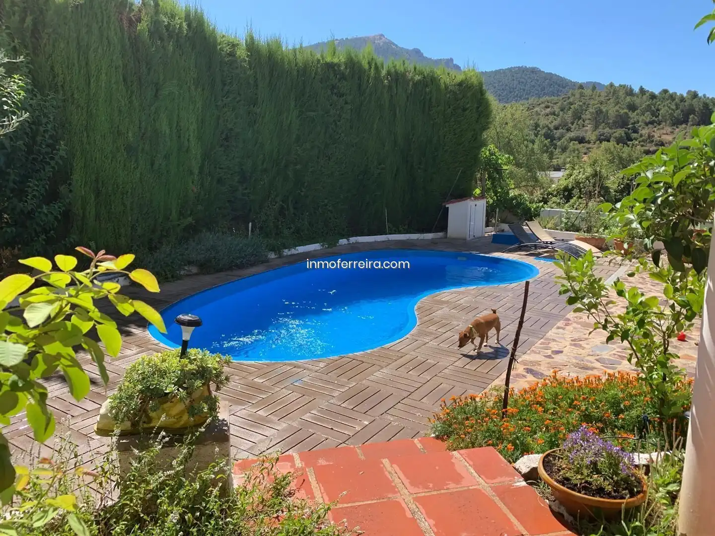 Xalet amb piscina en venda a Siles, imagen 20
