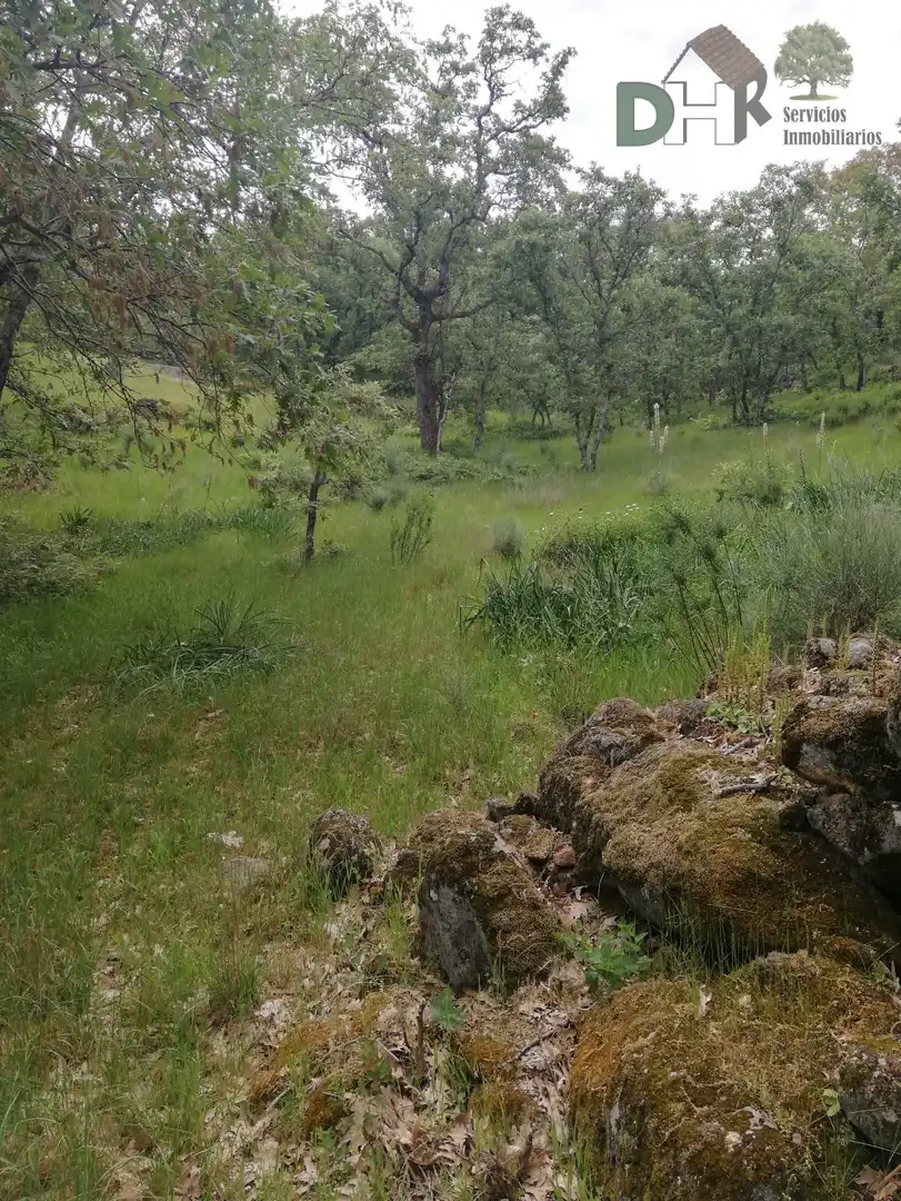 Finca rústica en venda a Perales del Puerto