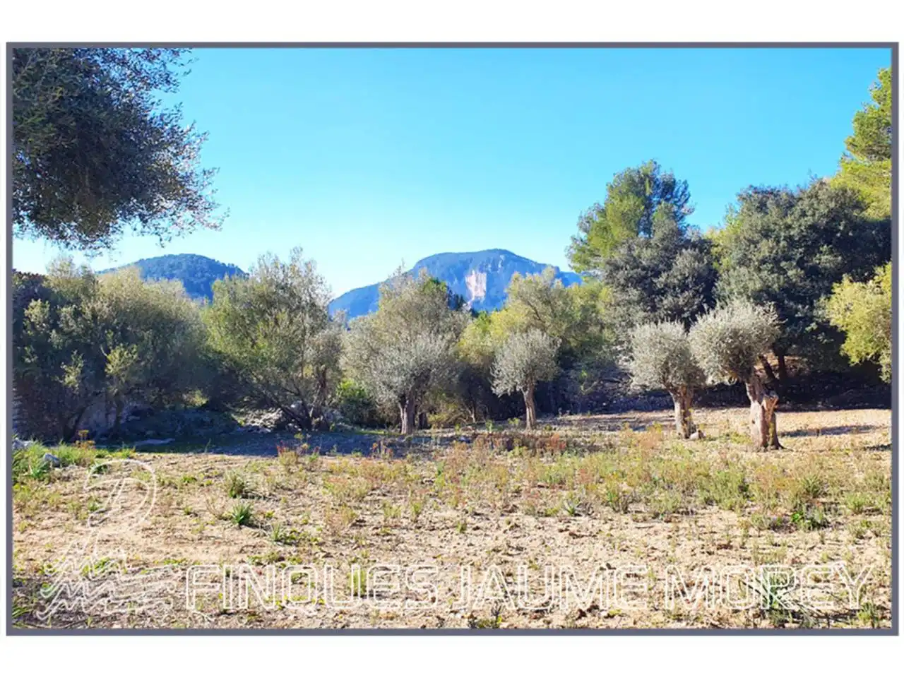 Finca rústica en venta en Mancor de la Vall con Jardín privado y Terraza