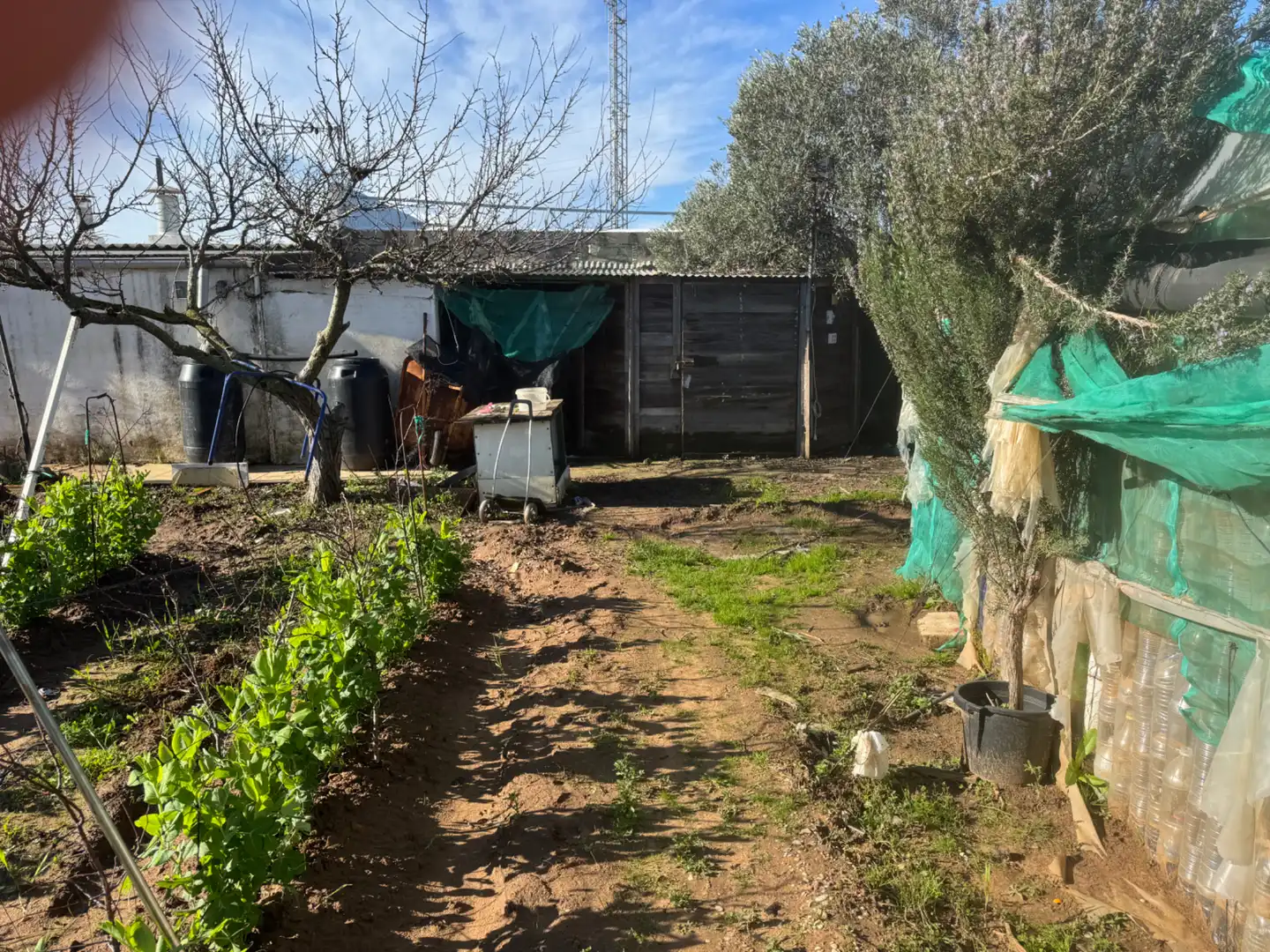 Country homes for sale in Sanlúcar de Barrameda  with Private garden, Terrace and Storage room