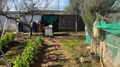 Foto 3 de Finca rústica en venda a Camino del Moral, 3, La Jara, Sanlúcar de Barrameda