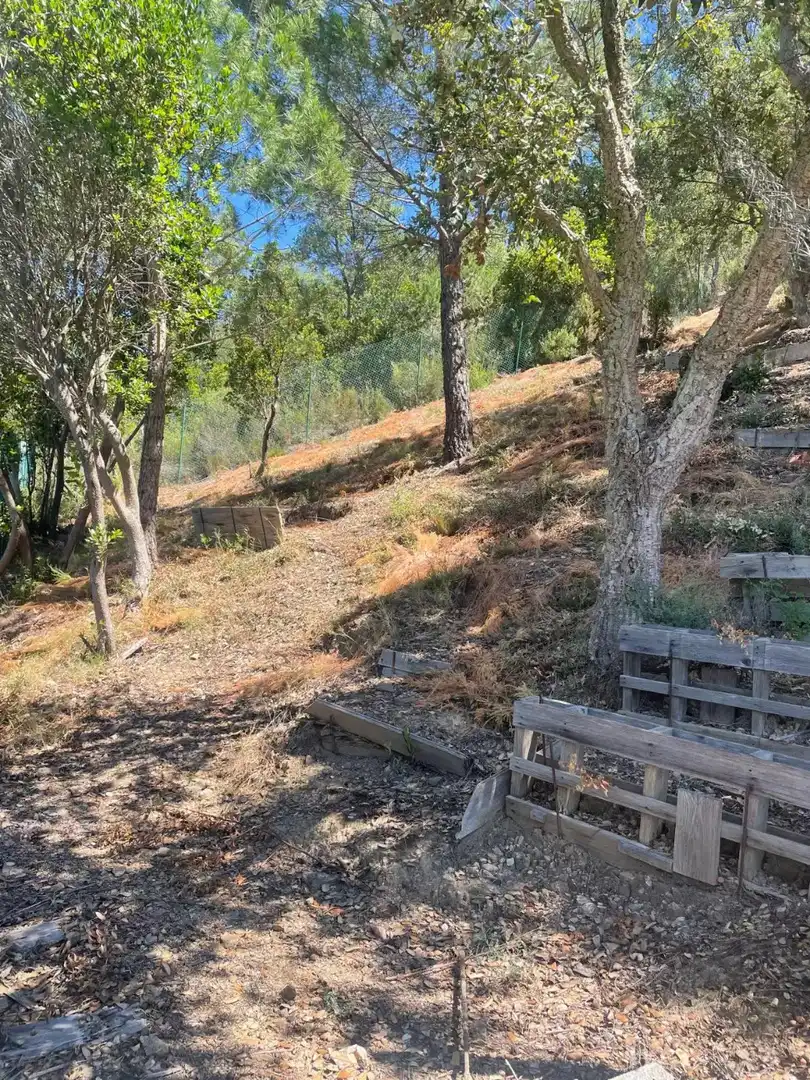 Villa mit Terrasse zum Verkauf in Sant Feliu de Buixalleu, imagen 35