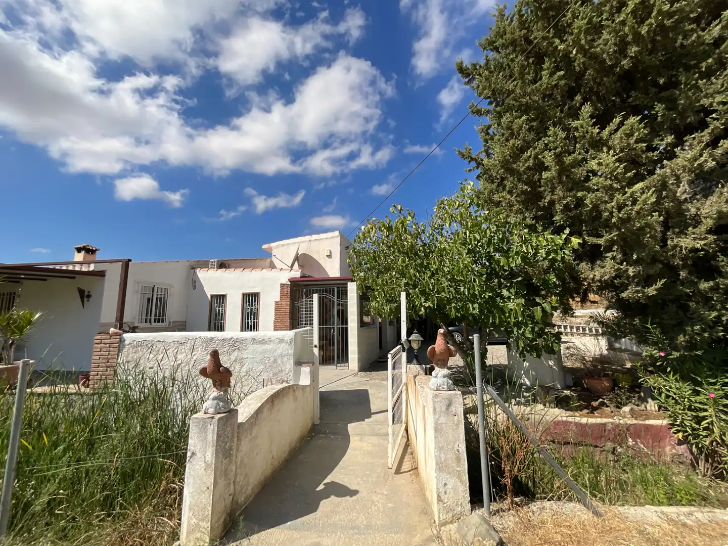 Vista exterior de Finca rústica en venda en Coín amb Jardí privat i Piscina