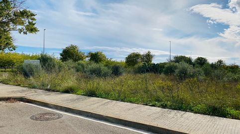 Solar Edificable en Felanitx, imagen 4