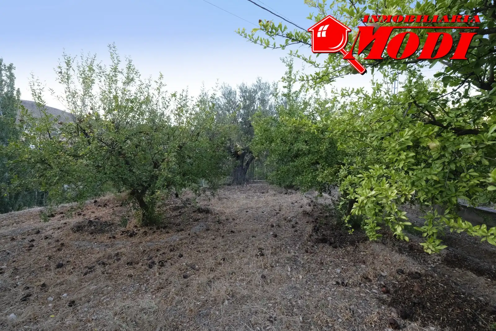 Finca rústica en venta en Villamena con Jardín privado y Terraza