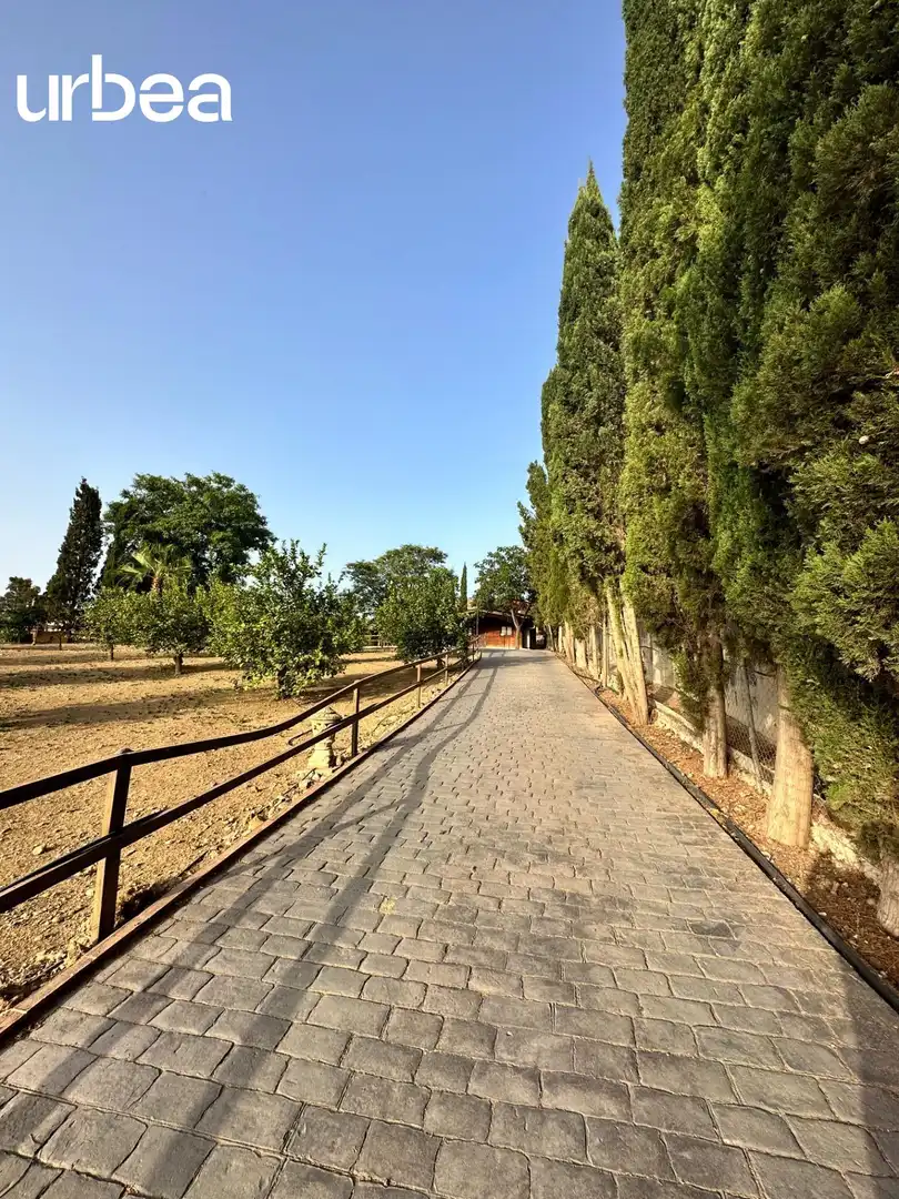 Vista exterior de Finca rústica en venda en Pizarra amb Aire condicionat, Calefacció i Jardí privat