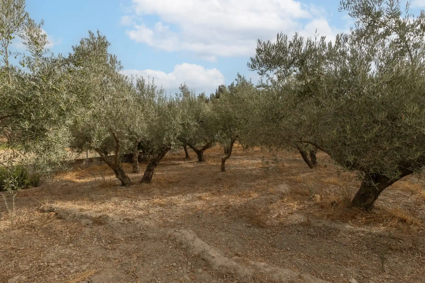 Country homes for sale in Polideportivo