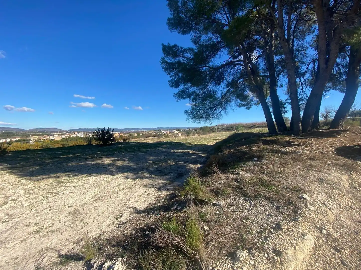 Terreno residenziale in vendita a Albaida, imagen 4