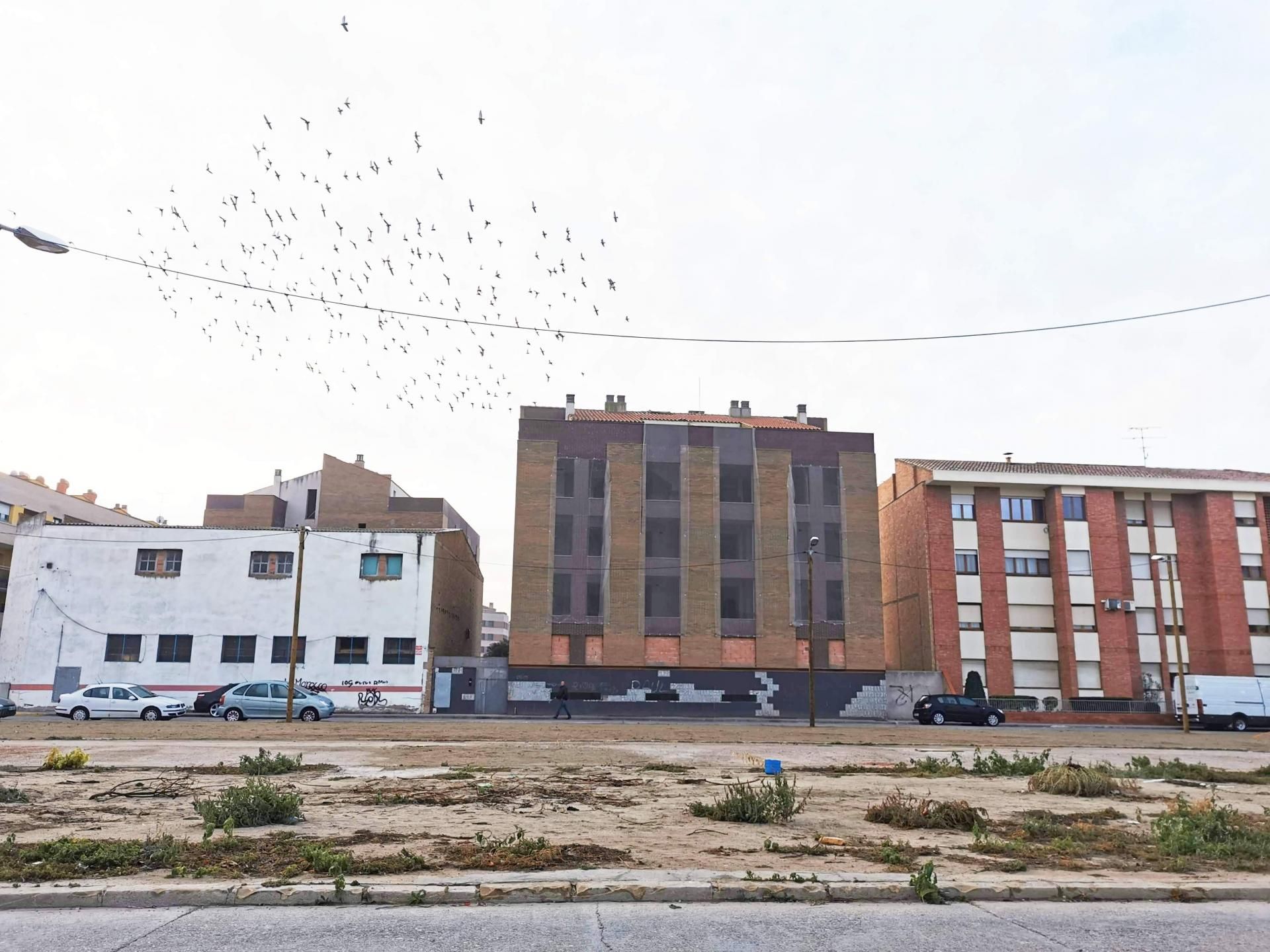 Exterior view of Building for sale in Mollerussa