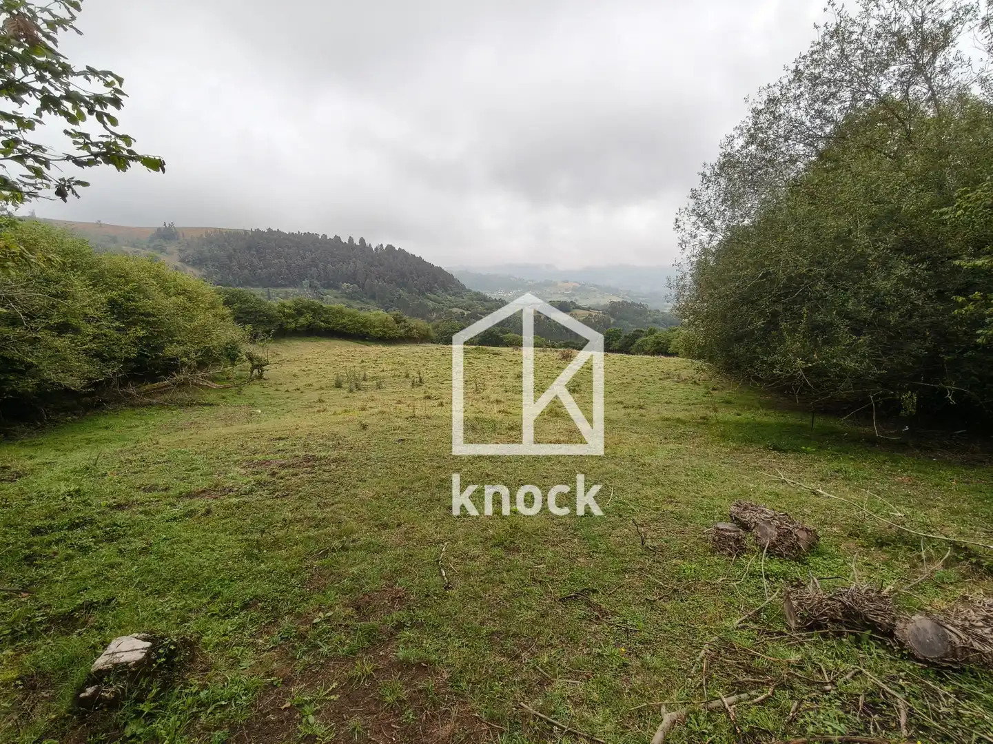 Terreno rustico in vendita a Villaviciosa - Celada