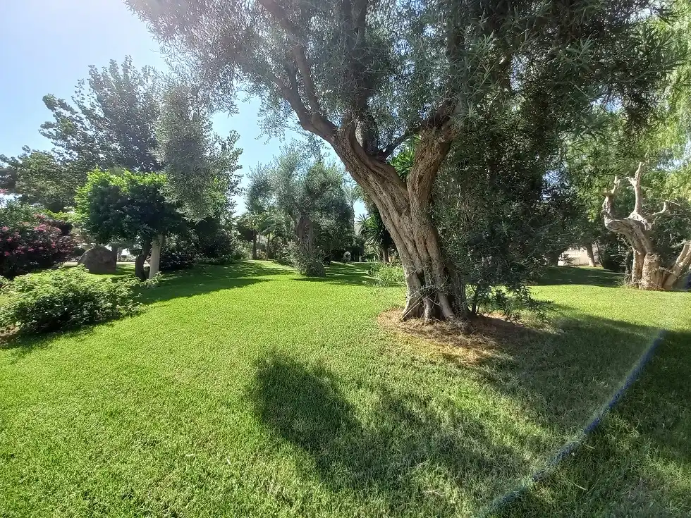 Apartamento en venta en Santa Pola con Aire acondicionado, Terraza y Amueblado