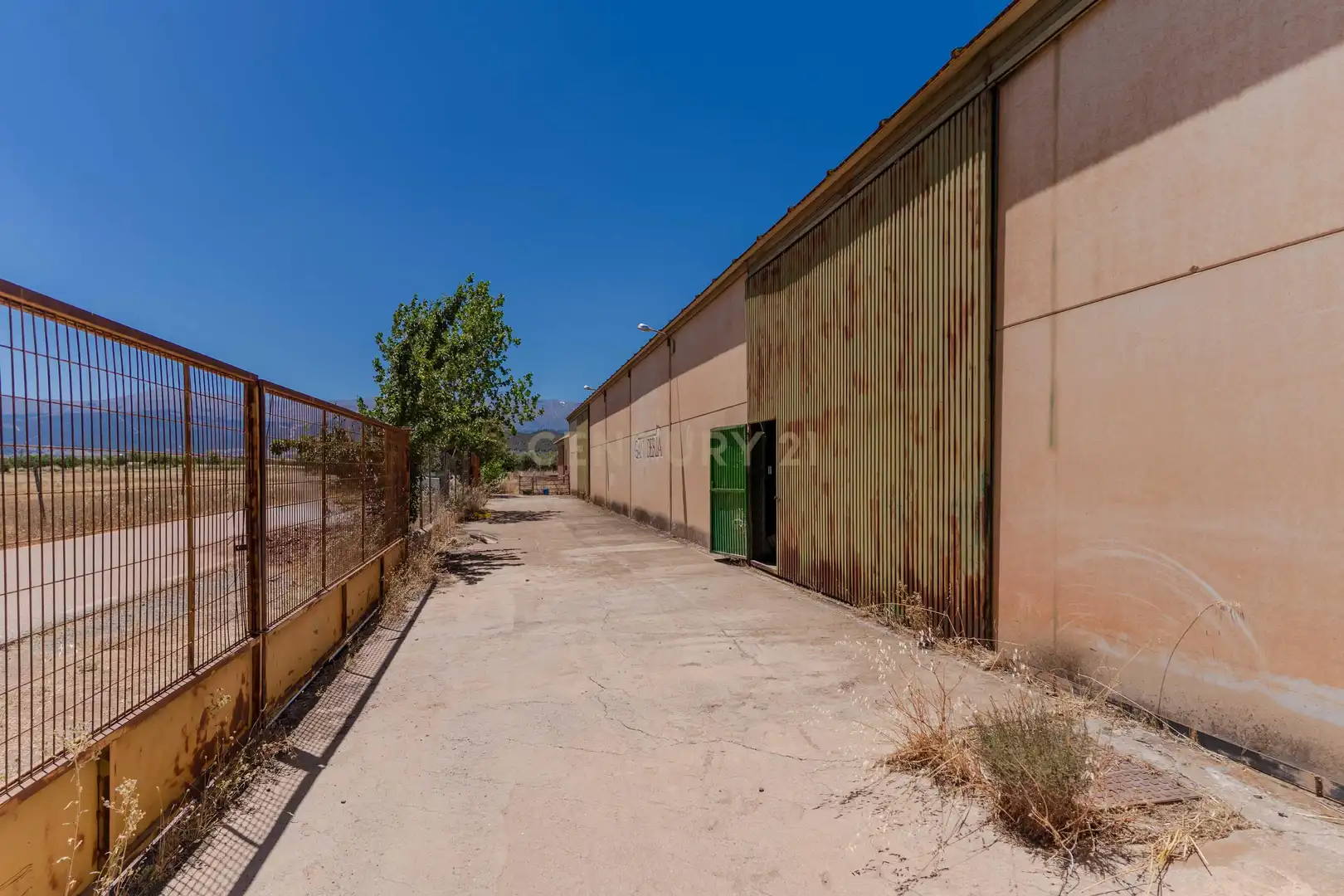 Vista exterior de Terreno en venta en Cogollos de Guadix