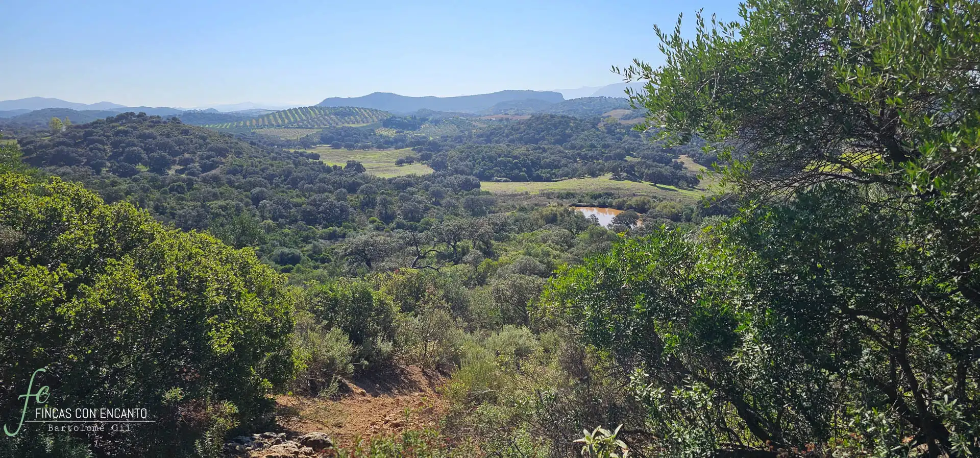 Finca rústica en venda en Morón de la Frontera amb Jardí privat, Terrassa i Piscina