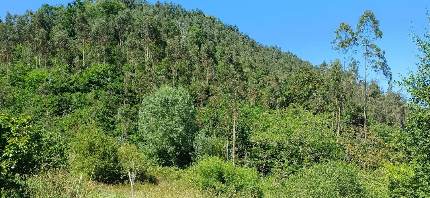 Casa o xalet en venda a Colunga