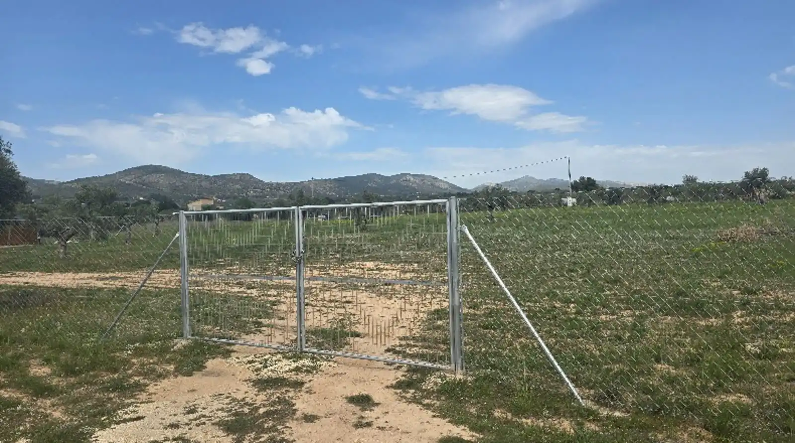 Terreny rústic en venda a Cam dels Pous, imagen 2