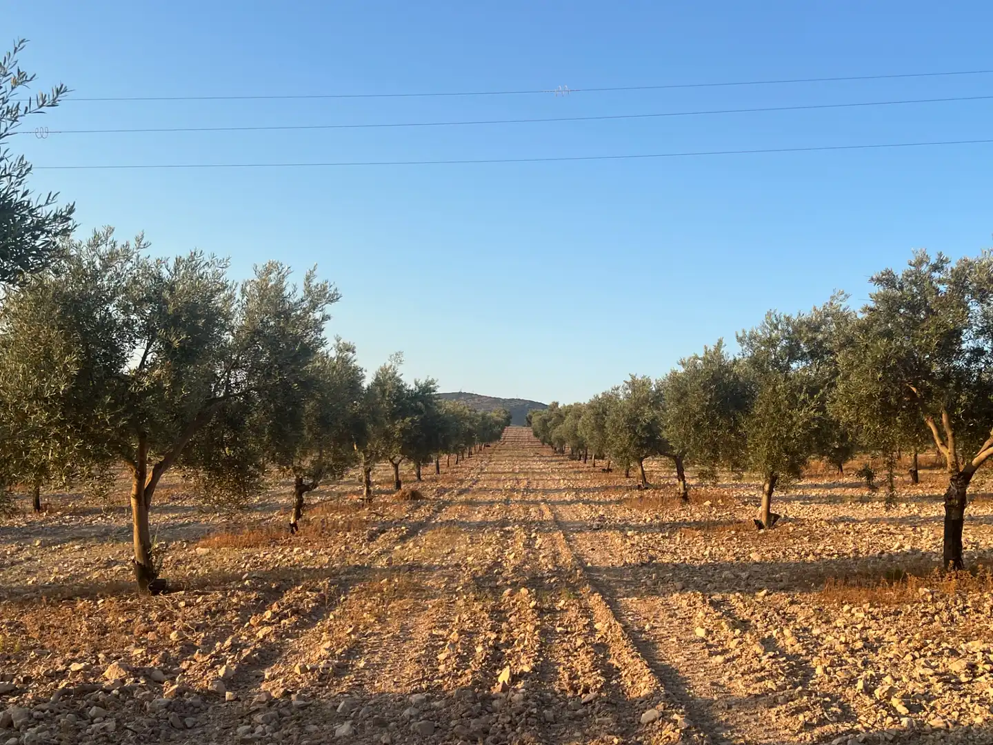 Terrenys i solars en venda a N/A, imagen 4