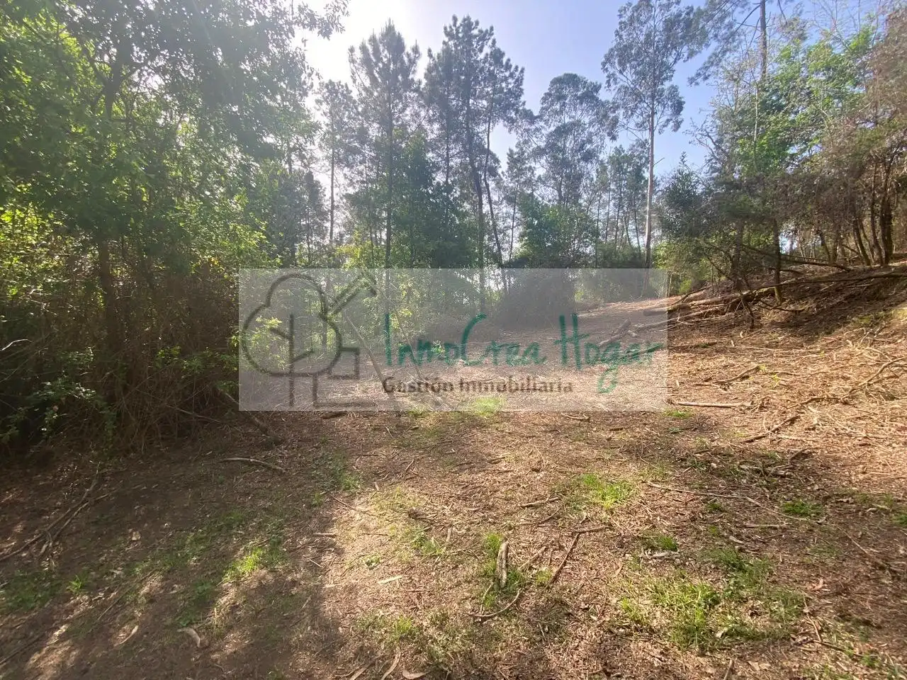 Terreny rústic en venda a Salvaterra de Miño, imagen 25