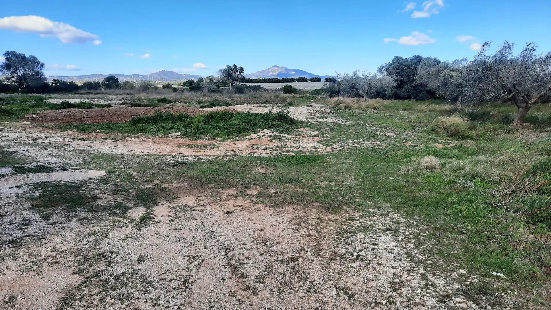 Terreno rustico in vendita a Partidas de interior - Zona Rústica, imagen 24