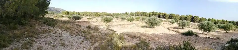 Terrenys i solars en venda a Onil