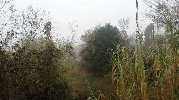Terreno rustico in vendita a Aigua de la Baells, imagen 5