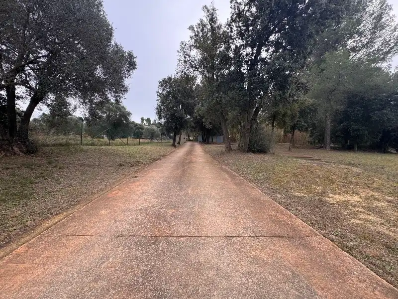 Vista exterior de Casa o chalet en venta en Madremanya con Aire acondicionado, Calefacción y Jardín privado