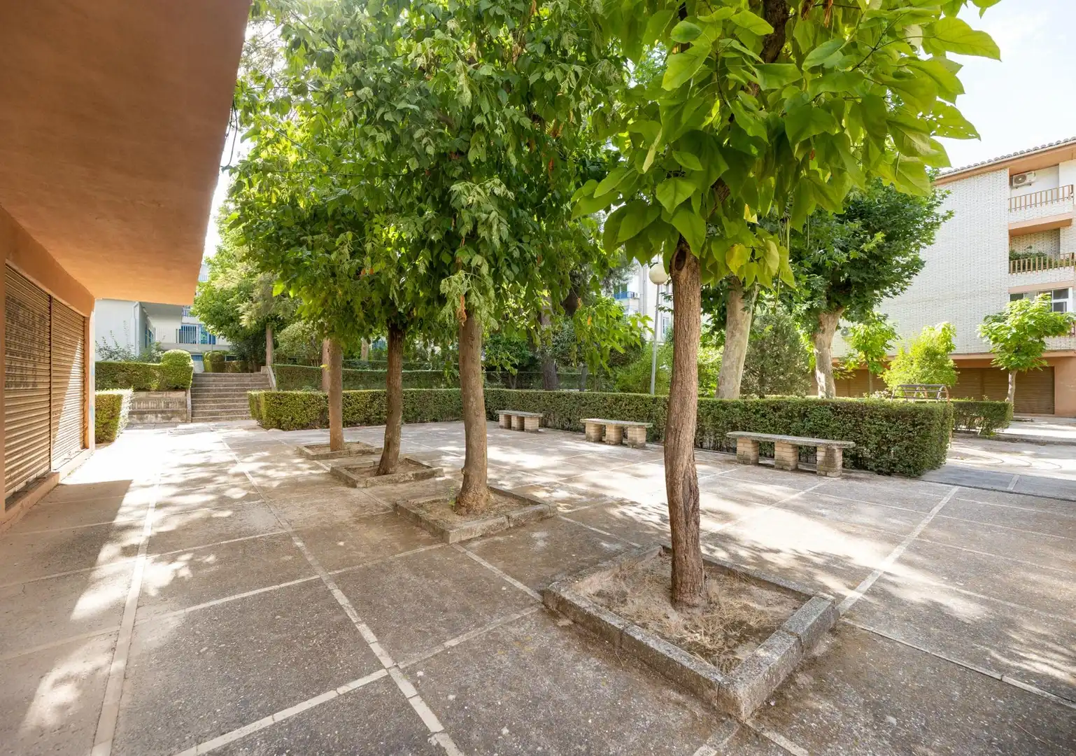 Appartement à vendre à Norte, imagen 4