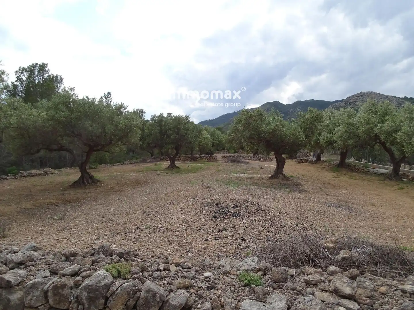 Terrain résidentiel à vendre à 16, imagen 21