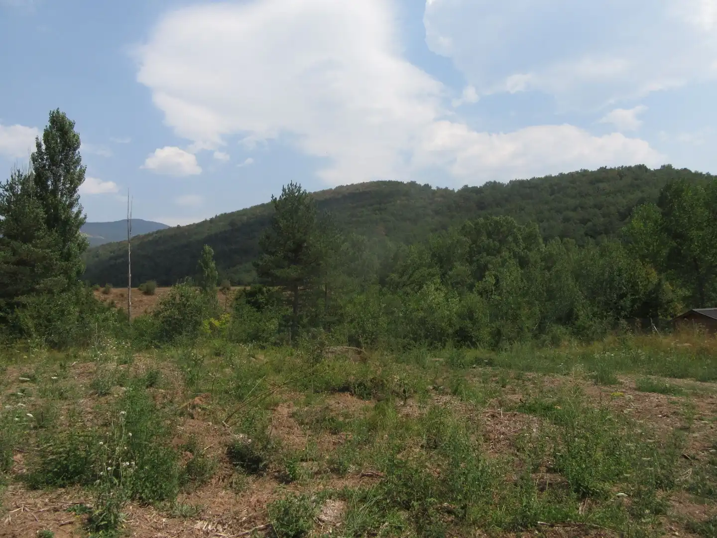 Terreni e lotti in vendita a Molino de Aratores, imagen 9