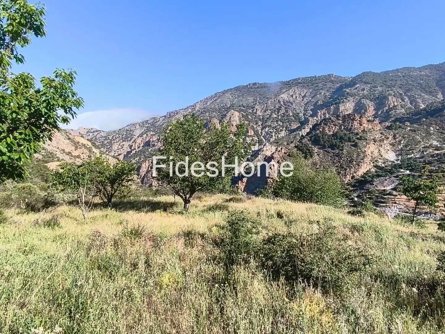 Rural land for sale in XFPP+9QX Nigüelas 0, imagen 8