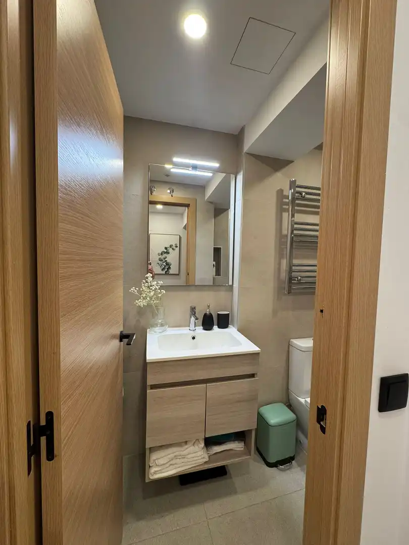 Bathroom of Flat for rent in Madrid  with Private garden, Terrace and Furnished