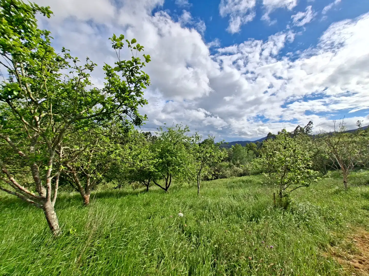 Residential land for sale in Corvera de Asturias, imagen 6