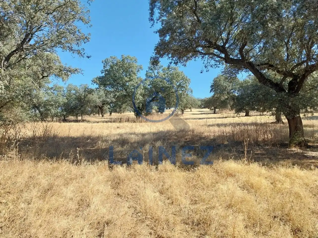 Lands and plots for sale in Fuente Obejuna, imagen 10