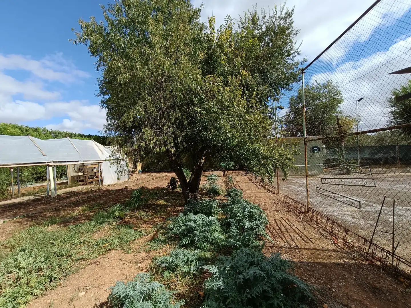 Jardín de Casa o chalet en venta en Ciudad Real con Aire acondicionado, Jardín privado y Piscina