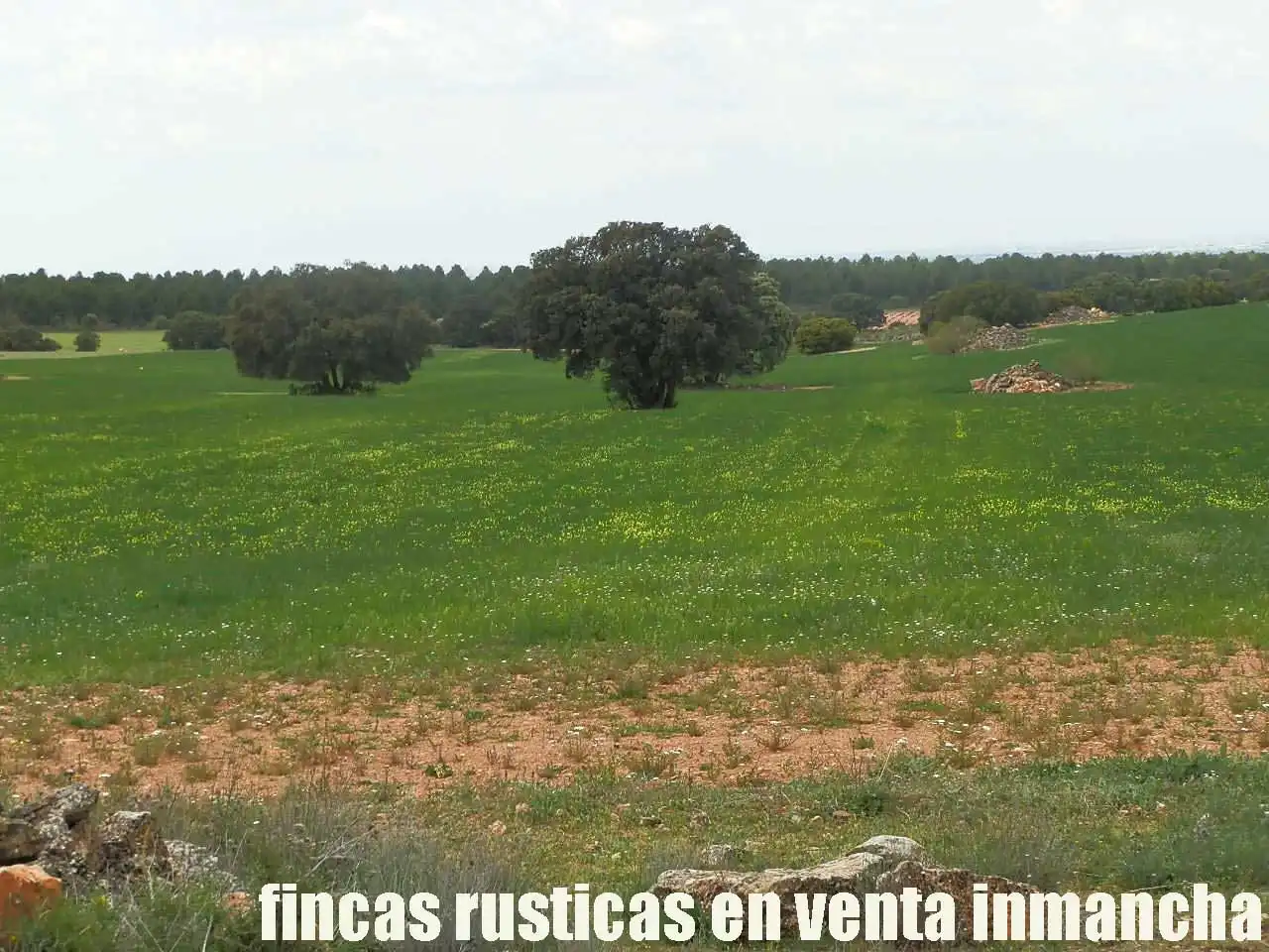 Terreno rustico in vendita a Ruidera, imagen 26