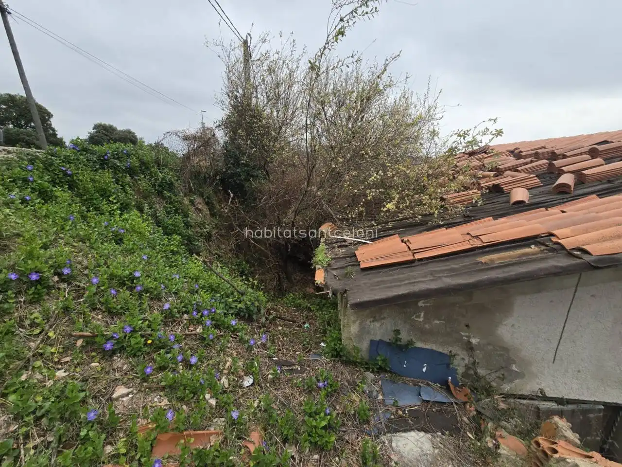 Casa o xalet en venda en Tordera amb Jardí privat