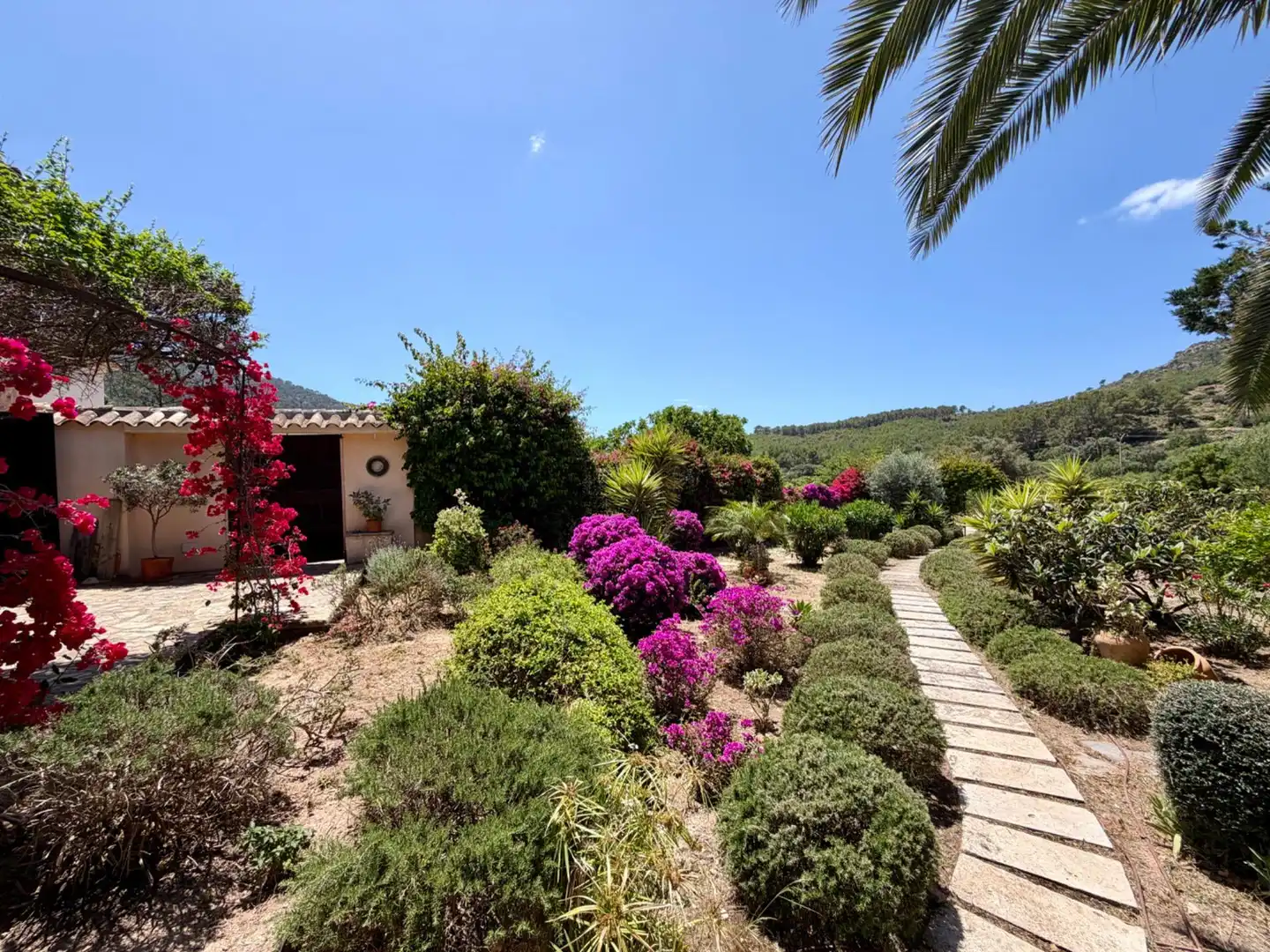 Garten von Einfamilien-Reihenhaus zum Verkauf in Andratx mit Klimaanlage, Heizung und Privatgarten