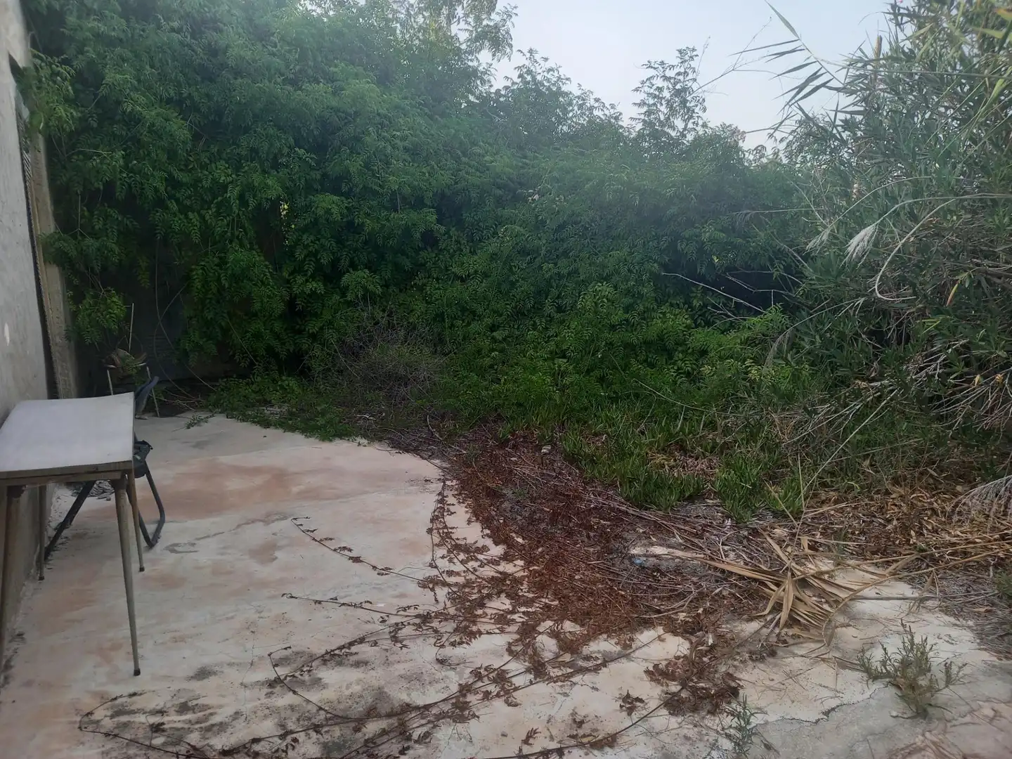 Casa o xalet en venda a La Foia - Daimés - Asprella