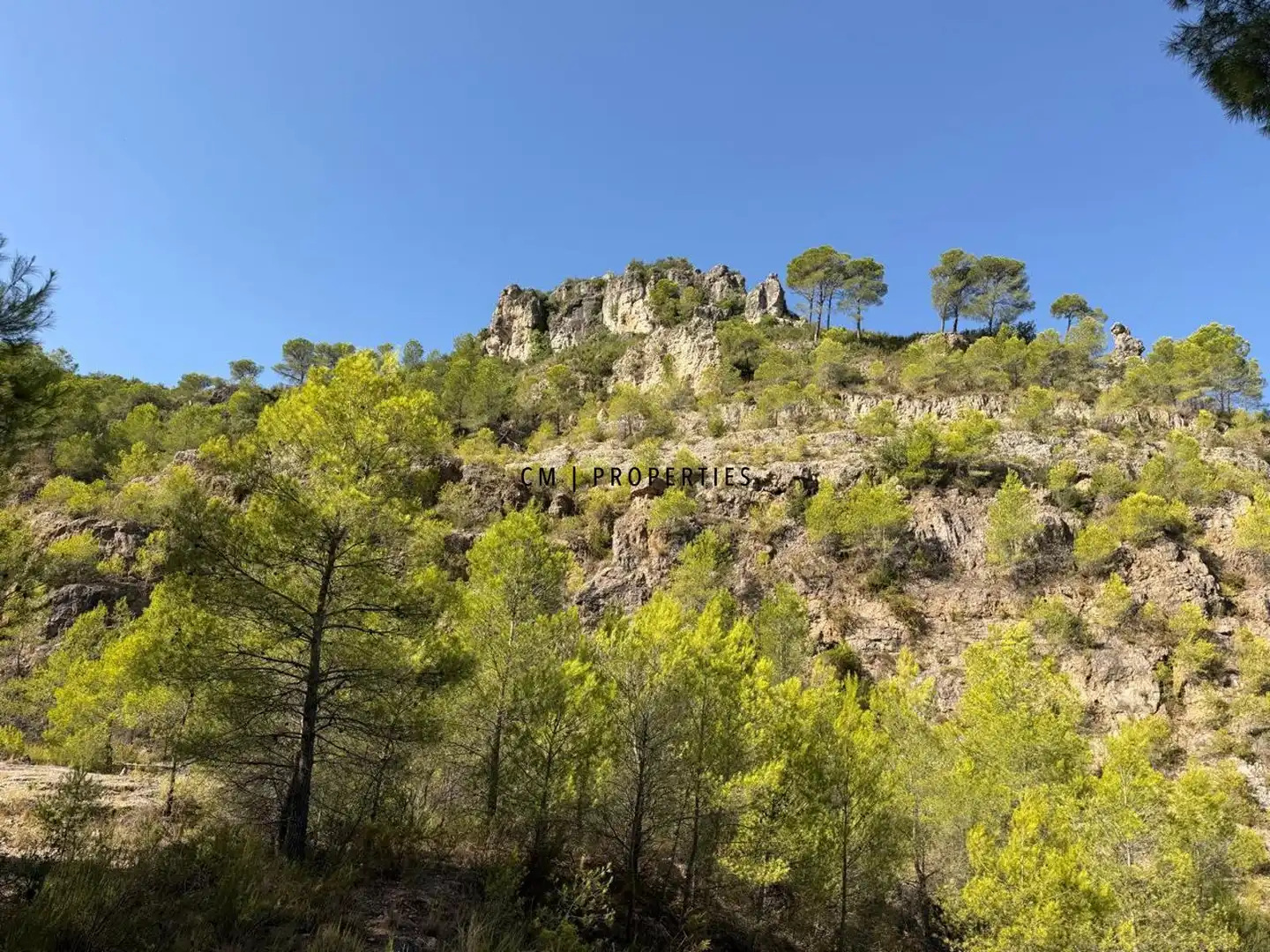 Terreny rústic en venda a Urbanitzacions i Pedanies Nord, imagen 6