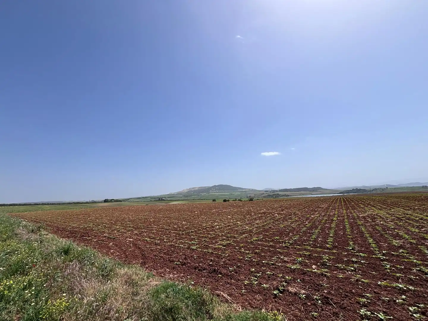 Terreny rústic en venda a Arcos de la Frontera, imagen 7