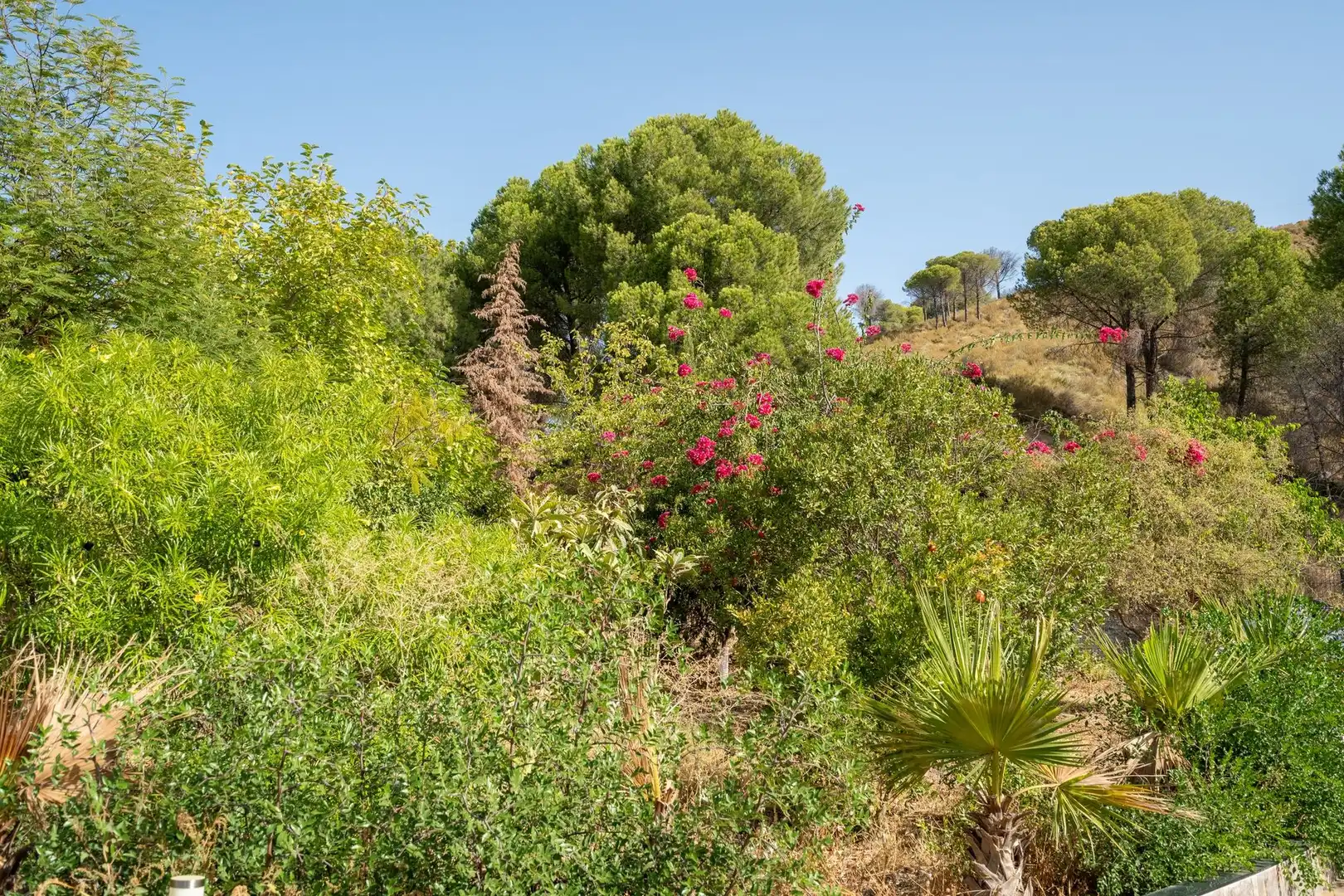 Terrenos y solares en venta en Casarabonela, imagen 26