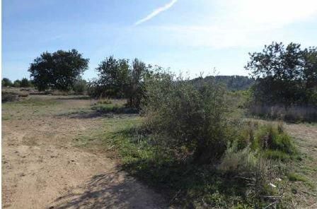 Land for sale in Algímia de Alfara