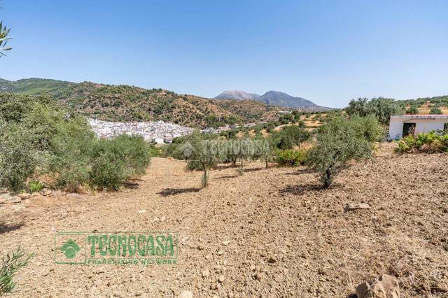 Terreno en Venta en Tolox