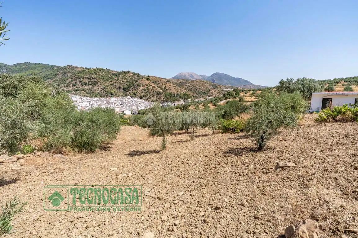 Land for sale in Tolox