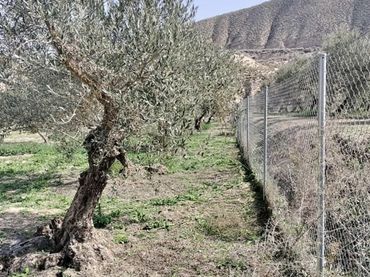 Terreno rustico in vendita a La Malahá