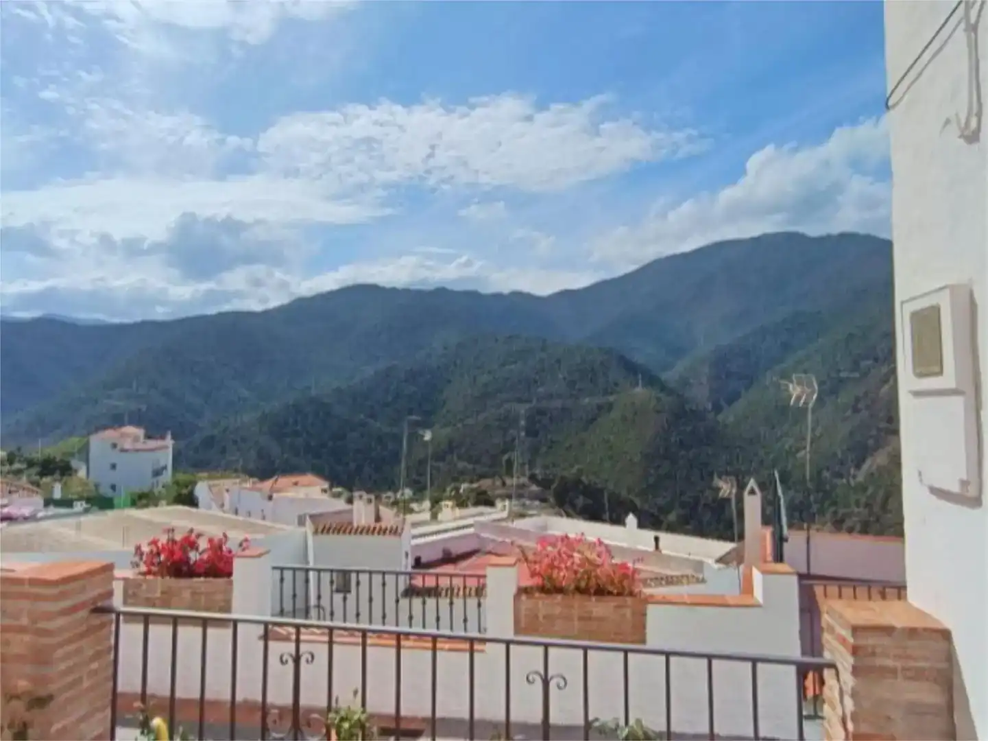 Vista exterior de Casa o chalet en venta en Istán con Aire acondicionado