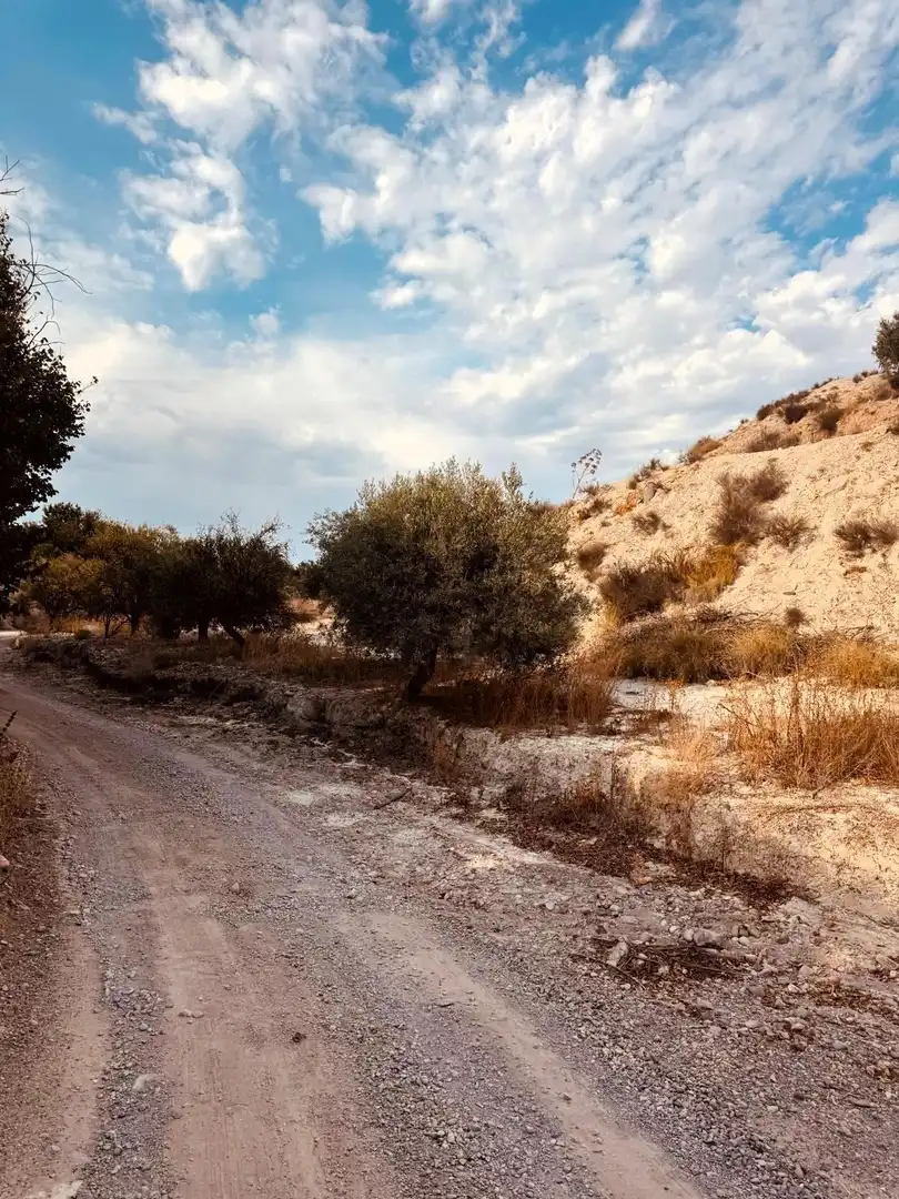 Terrain rustique à vendre à Campo de Murcia, imagen 13