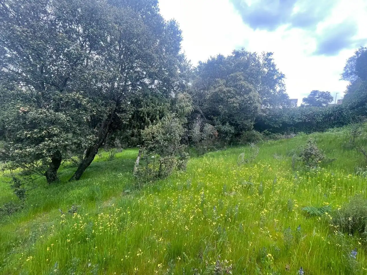 Grundstücke und Bauplätze zum Verkauf in Guadarrama, imagen 15