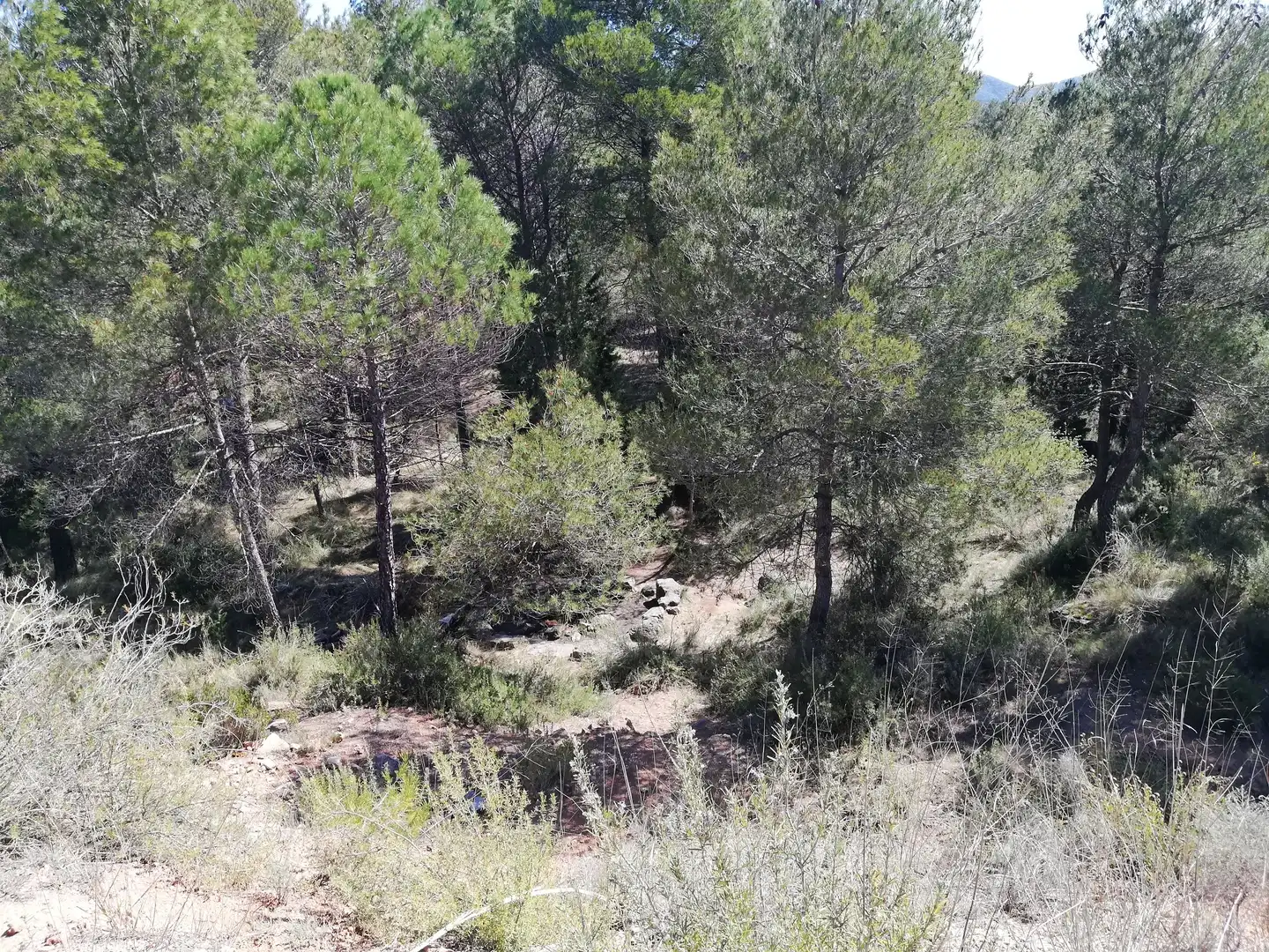 Residencial en venta en La Pobla de Claramunt